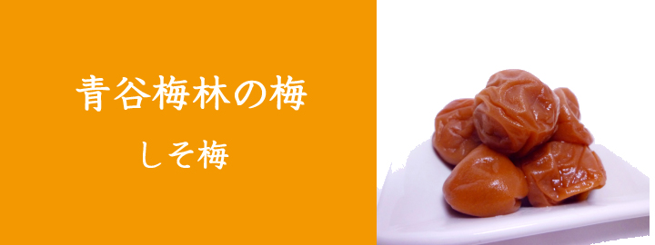 青谷の梅