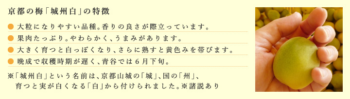 城州白を持った手