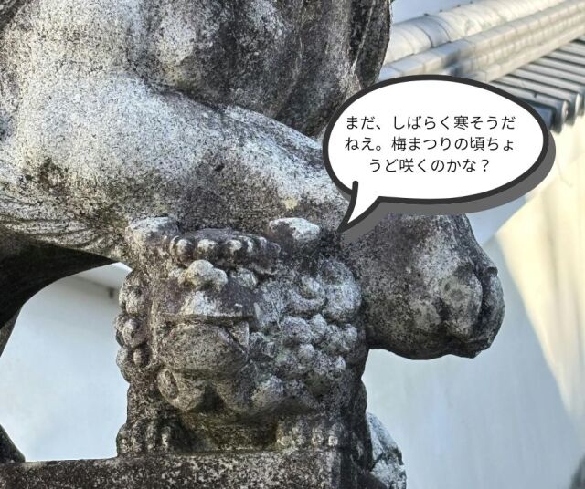 2026年梅祭り開花情報