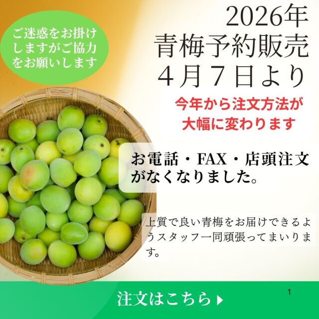 2026年青梅説明バナー01
