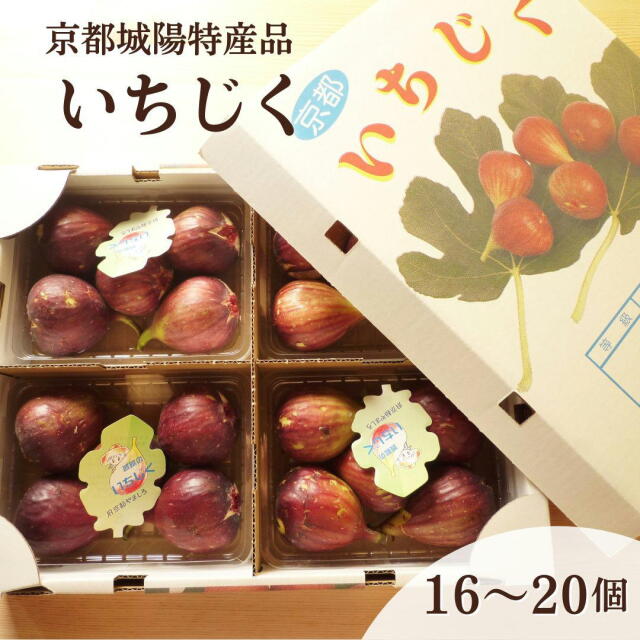 城陽産いちじく