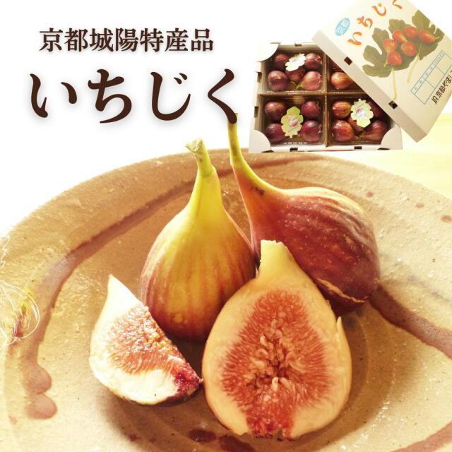 城陽産いちじく