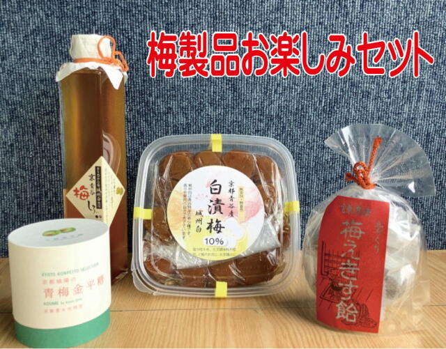 梅製品お楽しみセット