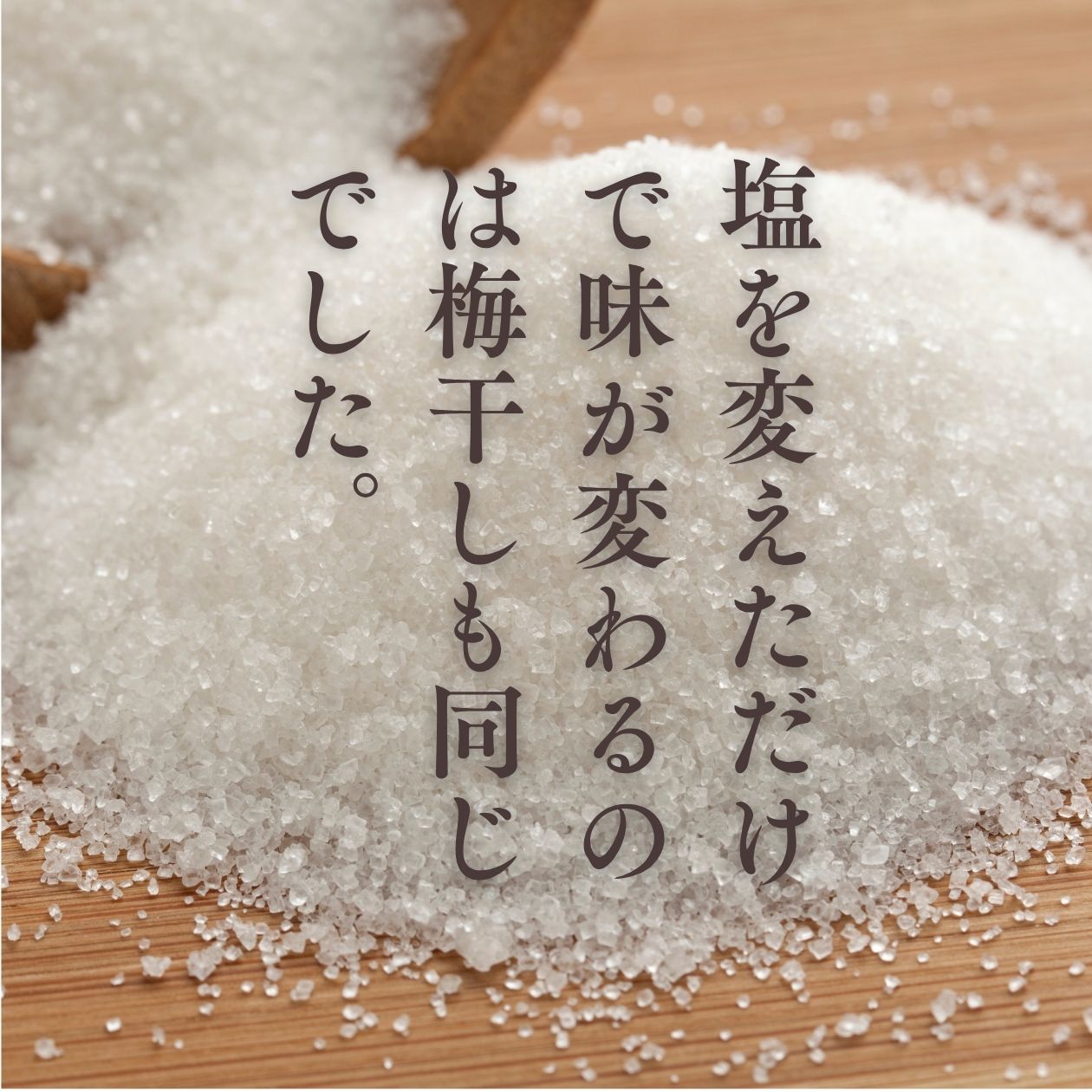 雅シリーズ塩説明