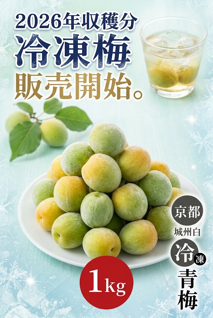 2026冷凍梅