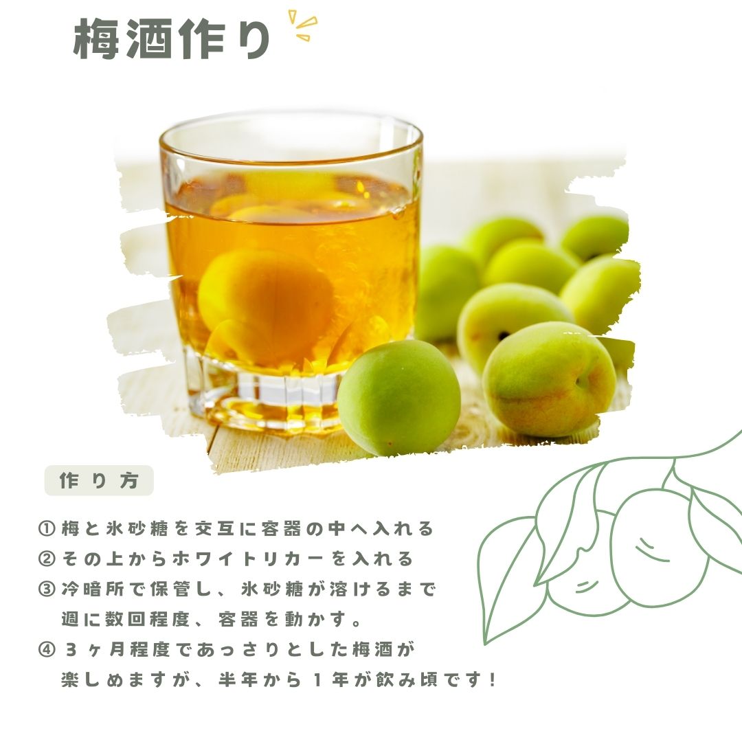 冷凍梅