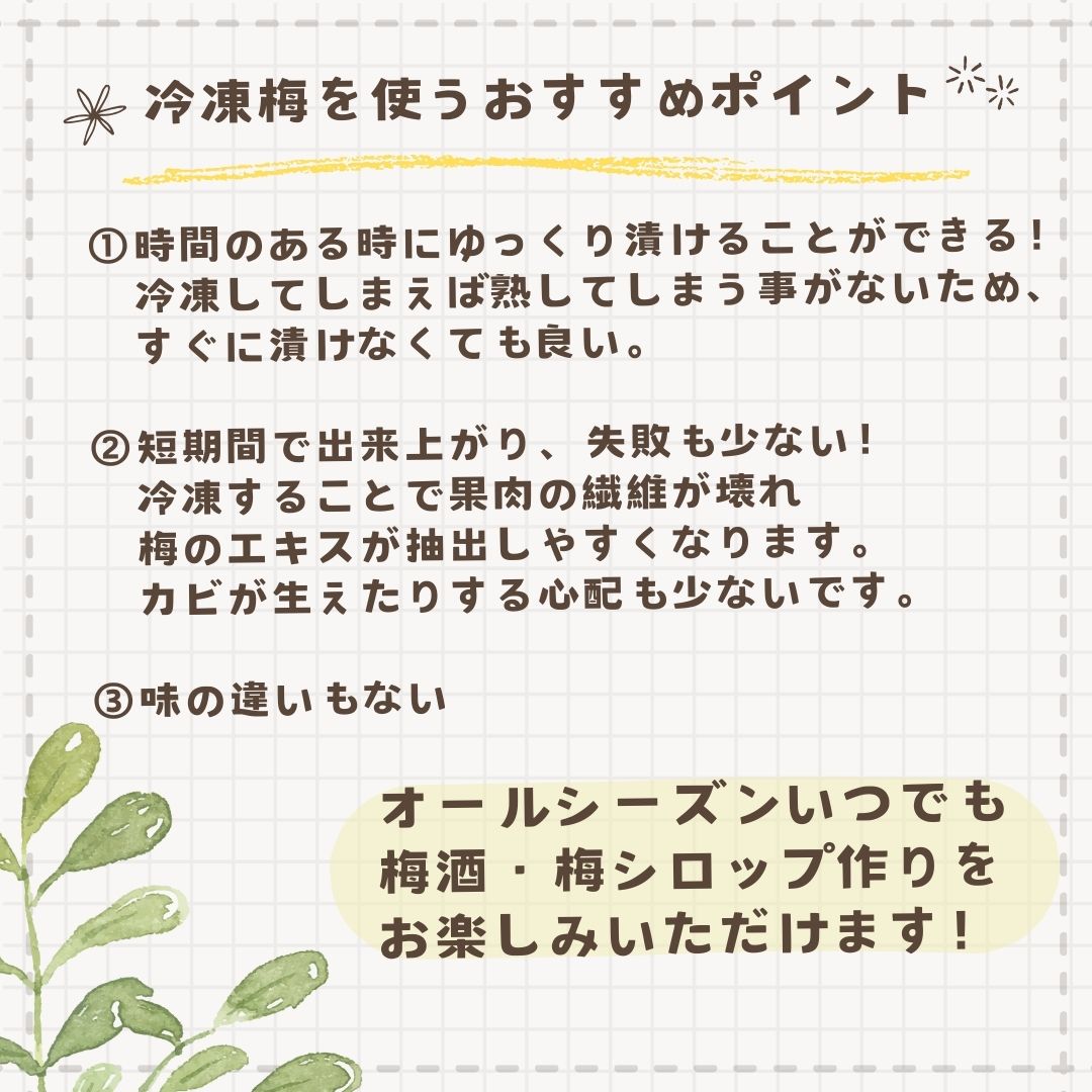 冷凍梅