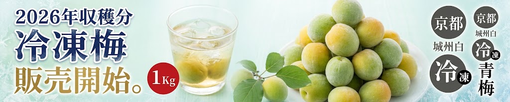 2026冷凍梅