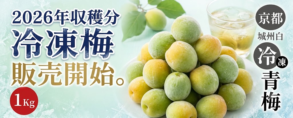 2026冷凍梅バナー