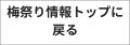 戻るボタン